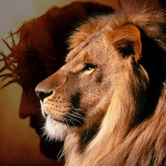 Accessories - Lion of Judah 💜